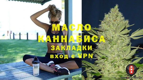 гашик Мегион