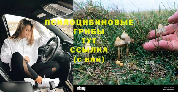 гашик Мегион