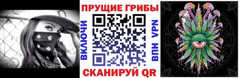 закладки  Темников  Псилоцибиновые грибы прущие грибы 